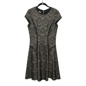 Maggy London Scallop Lace Fit and Flare Black and Nude Dress Size 8